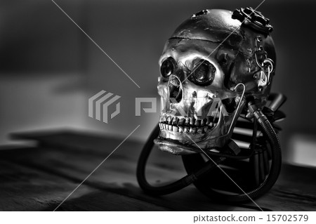 Skull of a human size robot Skull of a human size robot 15702579