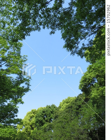 Green and sky of Shinagawa Yashio 4 Green and sky of Shinagawa Yashio 4 15702962