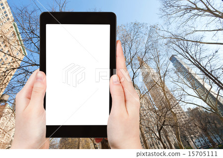 tourist photographs skyscrapers and bare trees tourist photographs skyscrapers and bare trees 15705111