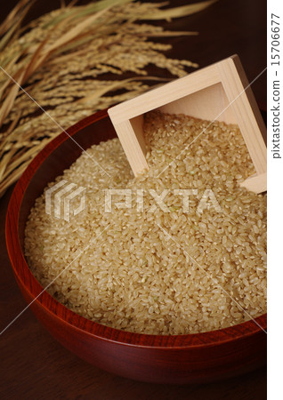 Brown rice and boxes served in rice plants and bowls Brown rice and boxes served in rice plants and bowls 15706677