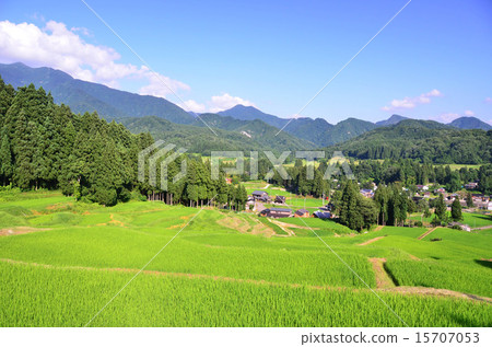 Kitagumagawa河（新潟）的水稻梯田 15707053