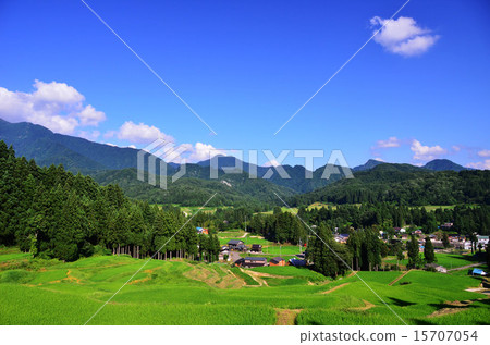 Rice terrace in Kitagumagawa river (Niigata) 15707054