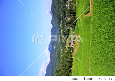 Kitagumagawa河(新潟)的水稻梯田 Kitagumagawa河(新潟)的水稻梯田 15707055