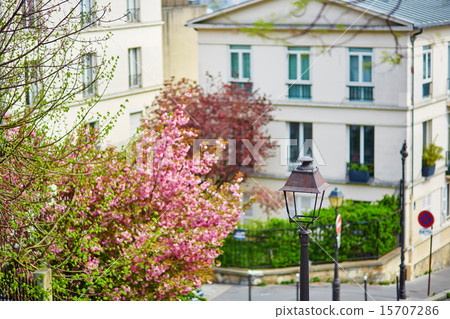 Beautiful Parisian street Beautiful Parisian street 15707286