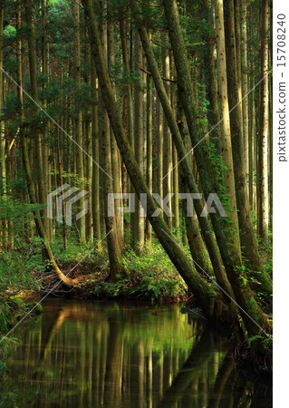 Yasushi Prefecture Yusa-machi Ushidogawa 15708240