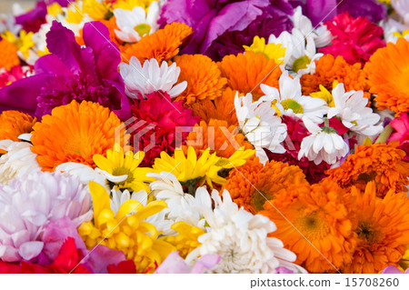 Flower arrangement full of screen flower arrangement 15708260