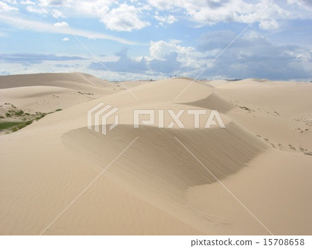 Landscape of Nha Trang "White Sundown" in Vietnam Horses to rest on an oasis 15708658