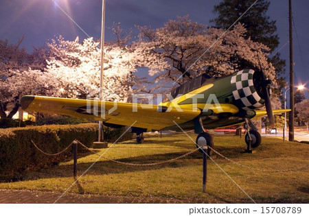 Navy Atsugi Base The SNJ trainer exhibited at the main gate and McArthur Garden and the night view of cherry blossoms in full bloom 15708789
