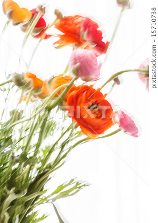 nice flowers nice flowers 15710738