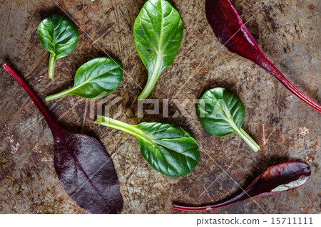 fresh salad leaves fresh salad leaves 15711111