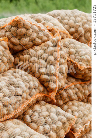 potatoes in the bags at farmers market 15711725