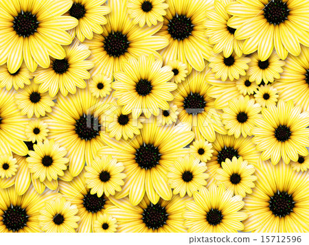 Background made from yellow flowers Background made from yellow flowers 15712596