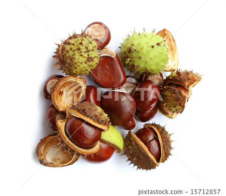 Autumn chestnuts Autumn chestnuts 15712857