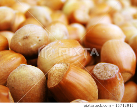 Hazel nuts Hazel nuts 15712915
