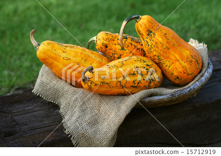 Pumpkins still-life 15712919