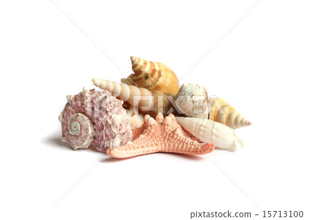 Seashells from holiday 15713100