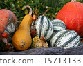 Pumpkins still-life with natural background 15713133