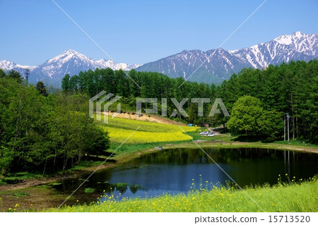 Rapeseed field, Spring Shinshu Nakayama Plateau where the Northern Alps shines 15713520