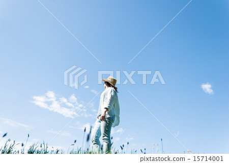 草原景觀 15714001
