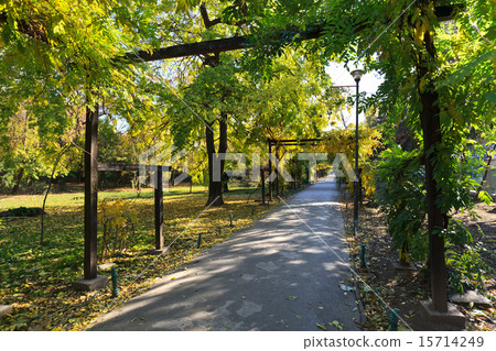walk in the park 15714249