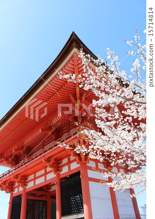 Temple 15714814