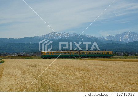 A railway car running between the wheat field and the North Alps 15715038
