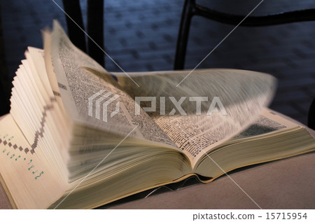 用風翻頁的字典。 用風翻頁的字典。 15715954