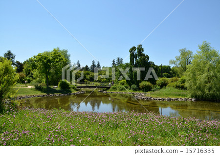 Showa Kinen Park 15716335