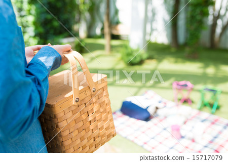 A picnic 15717079