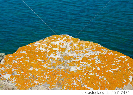 Texture of lichen on the stone and the sea. 15717425