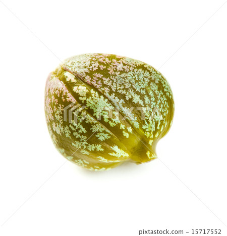 green capers 15717552