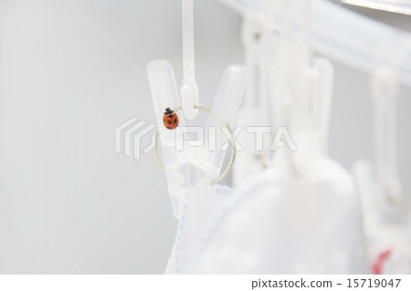 Tentacles stuck to laundry scissors Tentacles stuck to laundry scissors 15719047