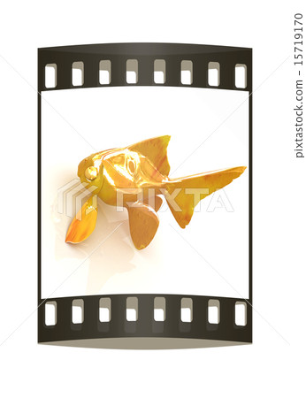 Gold fish. The film strip 15719170
