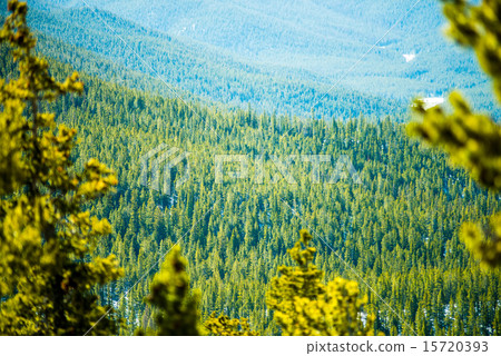 colorado rocky mountains near monarch pass colorado rocky mountains near monarch pass 15720393