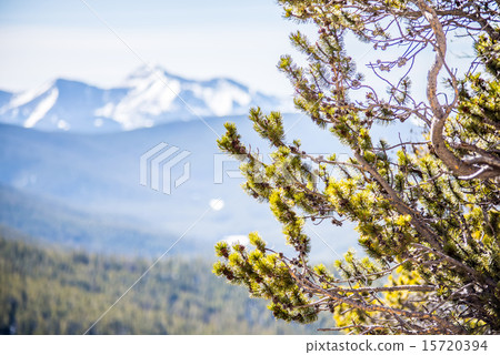 colorado rocky mountains near monarch pass colorado rocky mountains near monarch pass 15720394