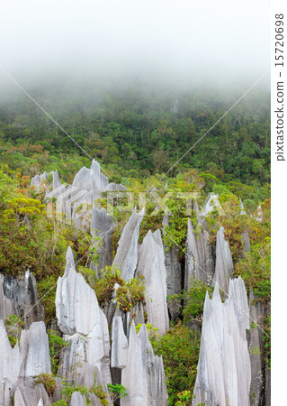 Limestone pinnacles at gunung mulu national park 15720698