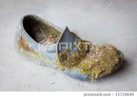 Abandoned moss-grown shoe 15720699