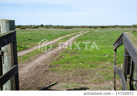 Entrance to unique nature 15720972