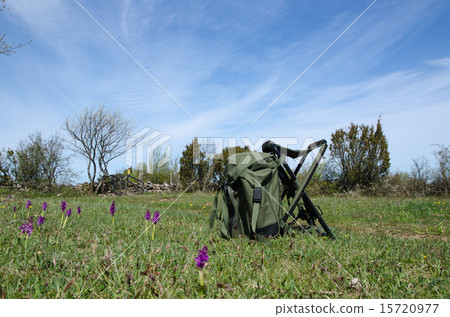 Backpack in blossom nature 15720977