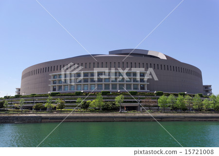 Yahoo auction dome 15721008