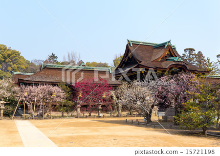 北野天滿區 - 梅 15721198