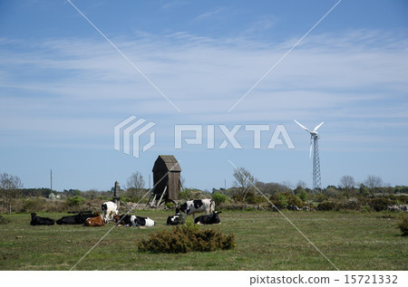 Landscape with windmills 15721332