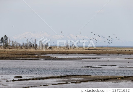 知床山不等春天 知床山不等春天 15721622