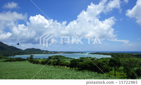 石垣島的性質 石垣島的性質 15722965