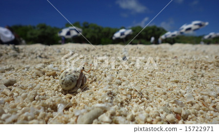 Heritocrit of Condo beach 15722971