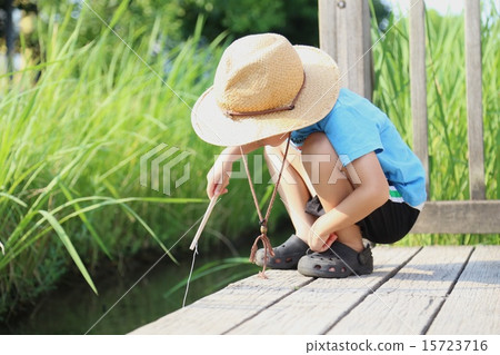 Summer vacation Summer vacation 15723716