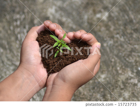 Sprout growing in love Sprout growing in love 15723735