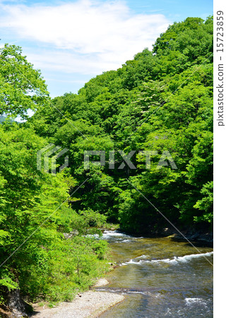 Katashina gawa 15723859