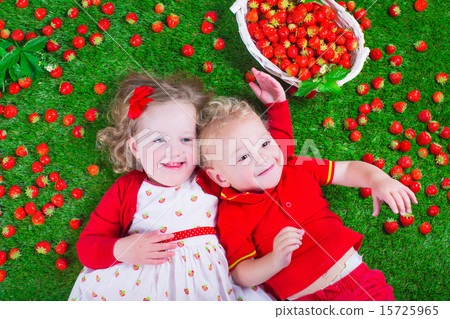 Children eating strawberry Children eating strawberry 15725965