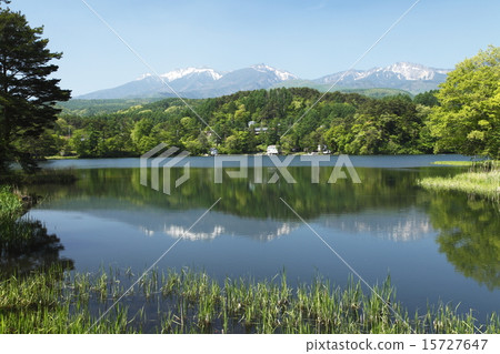Lake Matsubara (Inogan Lake: Koumi Town) 15727647